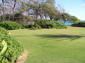 Large yard is perfect for your family gatherings. The yard leads you out to the sandy beach. It is a quiet, semi-private beach. There is no public access and is shared with the other homes dow
