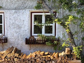 Miscellaneous