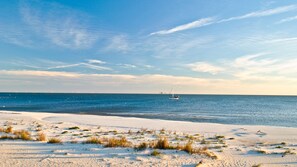 Secluded Beach