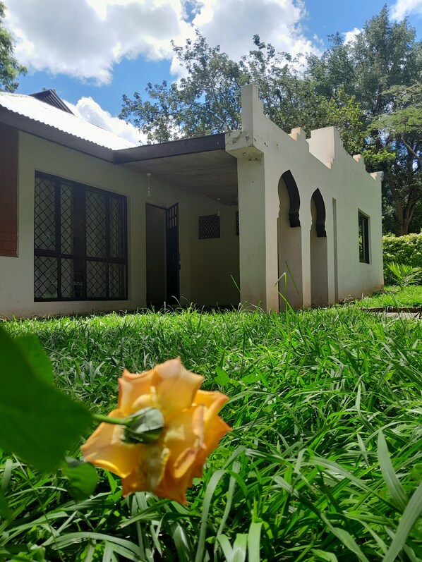 Exterior detail