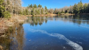 ice formed early last year