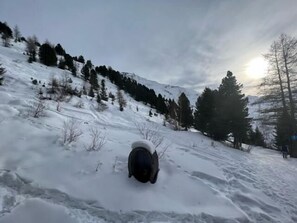 Sne- og skisport