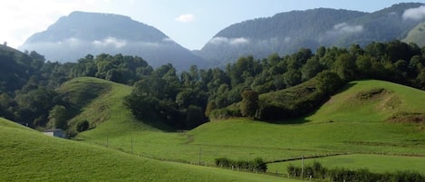 Overnatningsstedets område