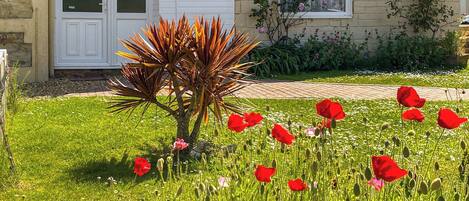 Jardines del alojamiento