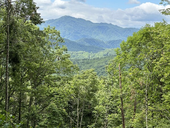 Embrace the majestic beauty of the mountains from your own private paradise!