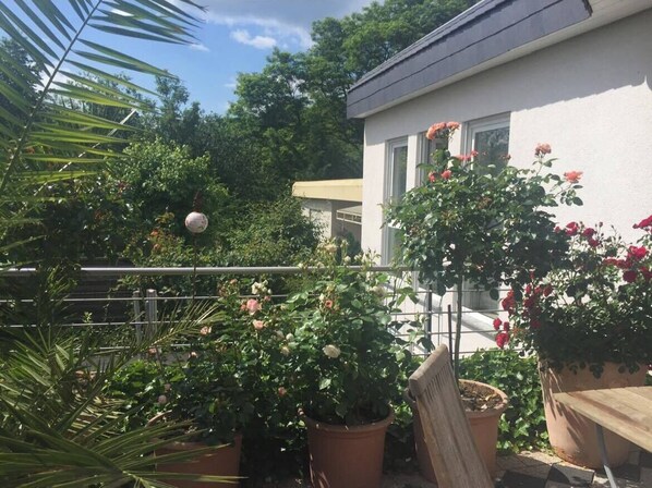 Terrass/Patio
