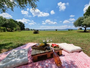 Immediate Surroundings [summer] (&lt;1 km)