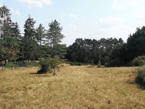 Le terrain devant la maison au sud