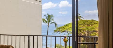 Amazing ocean views from the balcony