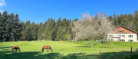 Overnattingsstedets uteområder