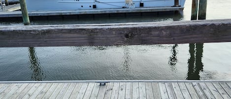 We like to walk or drive up to the waterfront to see all the beautiful boats.