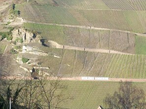 Vue aérienne