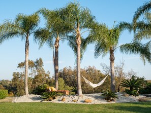 Sway with the palms in your own soft cotton hammock made for two