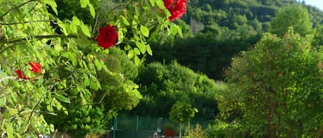 Jardines del alojamiento