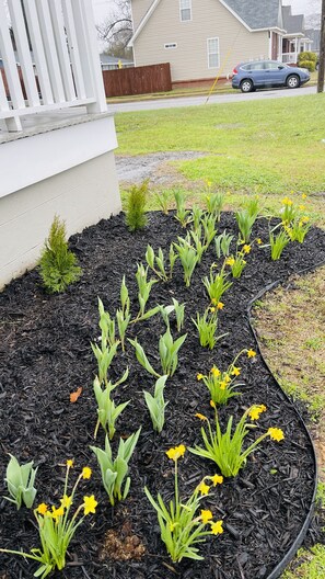 Jardines del alojamiento