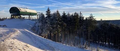 Sneeuw- en skisporten