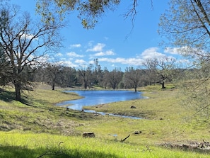 Seven Oaks Ranch Pine House (830)