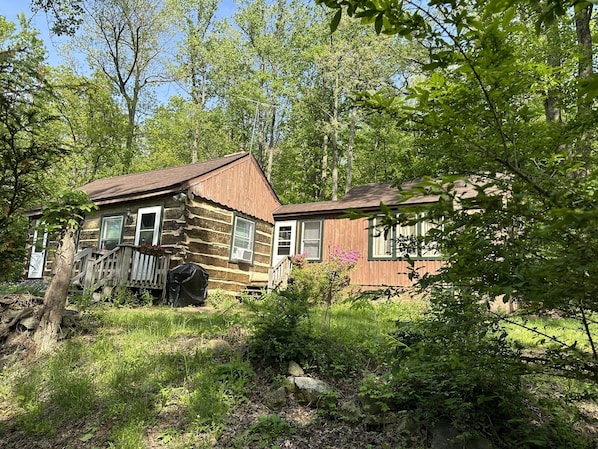 Cabin in Springtime