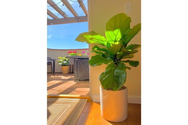 Terassi/patio