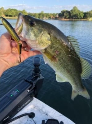 Fish from the pier or bring your boat!