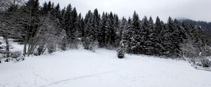 Vue hivernale du balcon 