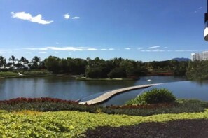 施設の敷地