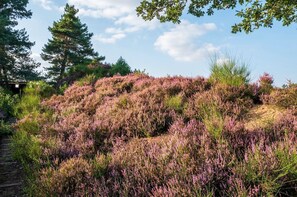 Landschaft