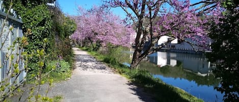 Jardines del alojamiento