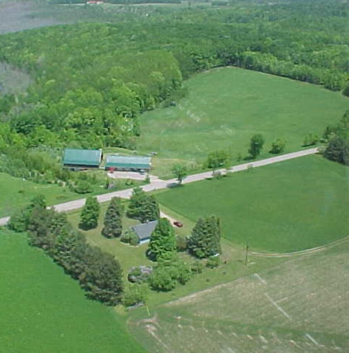 Main Image