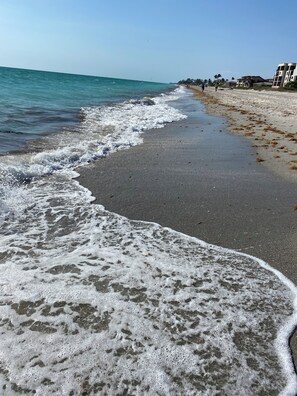 Englewood beach