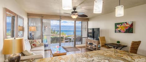 Direct oceanfront - Fully Remodeled