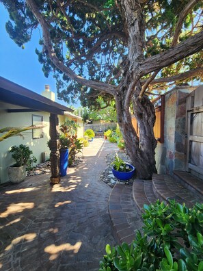 View north to south from west side of house