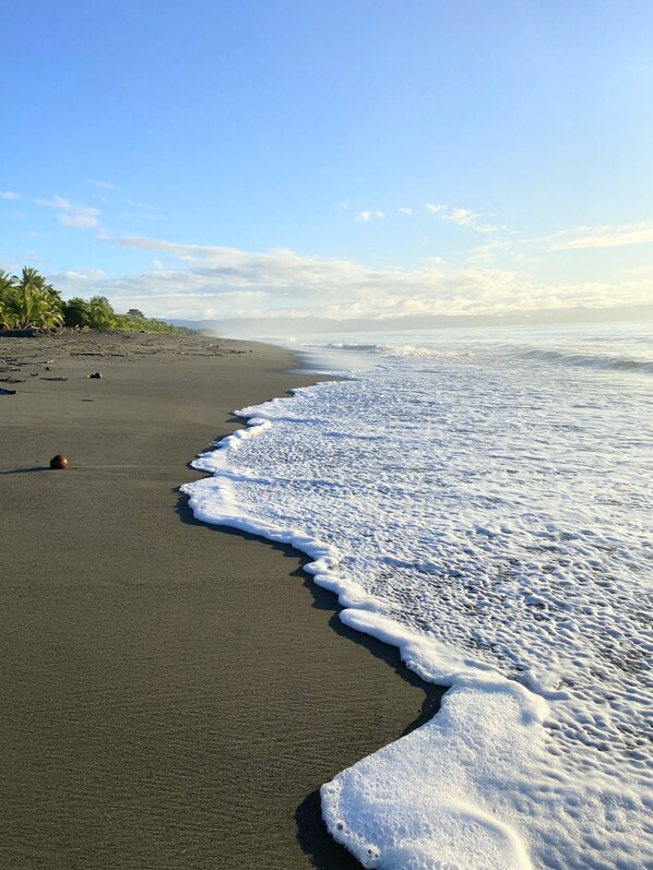 Playa preciosa beach at only a 5 minute car ride. 