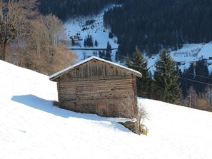 Snow, Tree, Slope, Mountain, House, Wood, Glacial Landform, Terrain, Freezing, Building