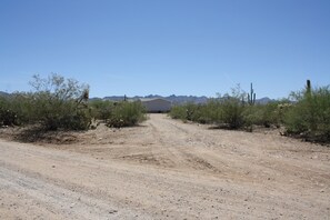 View up the driveway