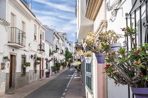 City view, exterior, Estepona,