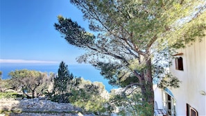 A beautiful garden of approx. 4,000 sqm with pine trees and other Mediterranean plants surrounds the house. Ein hübsches 4000qm-Grundstück mit Pinien und anderen mediterranen Pflanzen umgibt das Haus. 