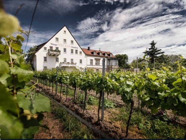 Weingut - Gästehaus Völcker