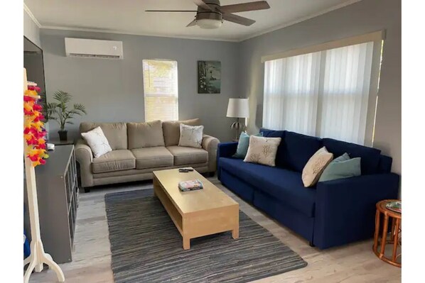 Sunny living room with two sofas (one is a sleeper) and large HD tv.