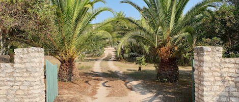 Terrenos do alojamento