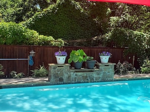 Pool20220resized