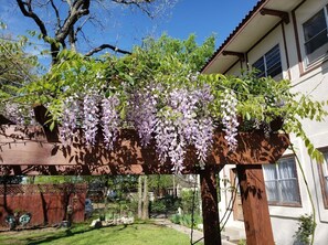 Jardines del alojamiento