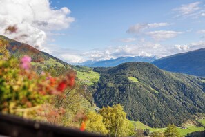 Vista desde la propiedad