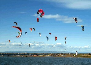 Divers