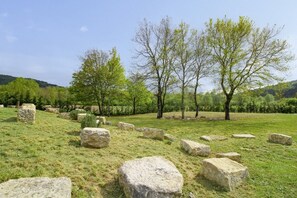 Terrain de l’hébergement 