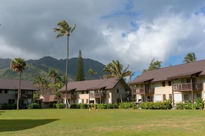 Right ON the beach, sleep to the sound of the surf!