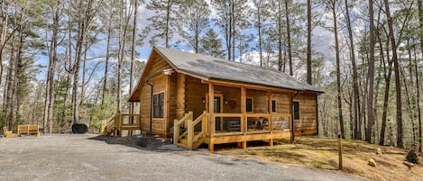 Brand New Log Cabin