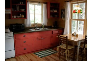 Wonderfully equipped cabin kitchen.