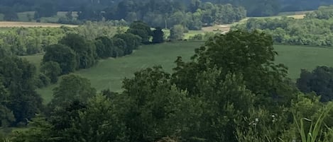 Overnatningsstedets område