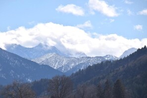 Dans la région [été] (&gt;5 km)